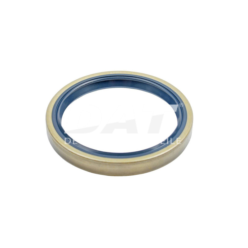 Oil Seal